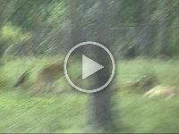 Untitled Clip 01 30
